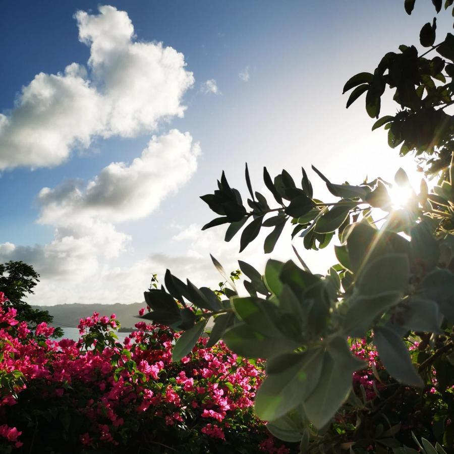 Vue Sur Mer A La Villa Parme Le Robert Dış mekan fotoğraf